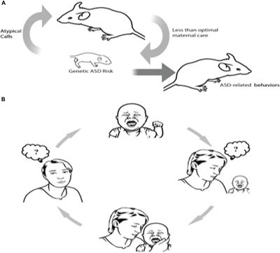 Gene × Environment Interaction in Developmental Disorders: Where Do We Stand and What’s Next?